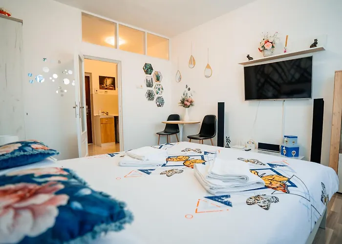 Apartment Casa Tudor