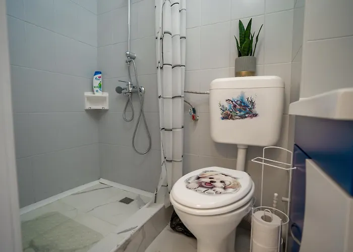 Apartment Casa Tudor *